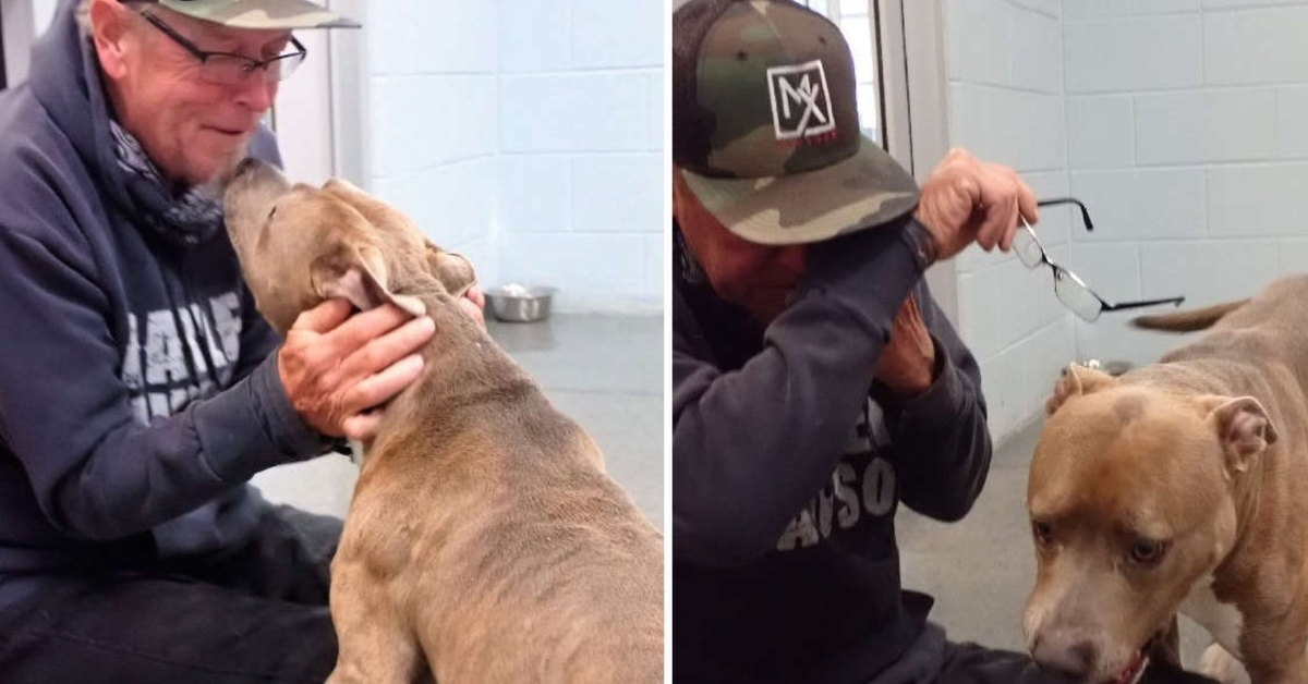 Ce chien ne peut pas croire que son père l’a finalement trouvé après 200 jours