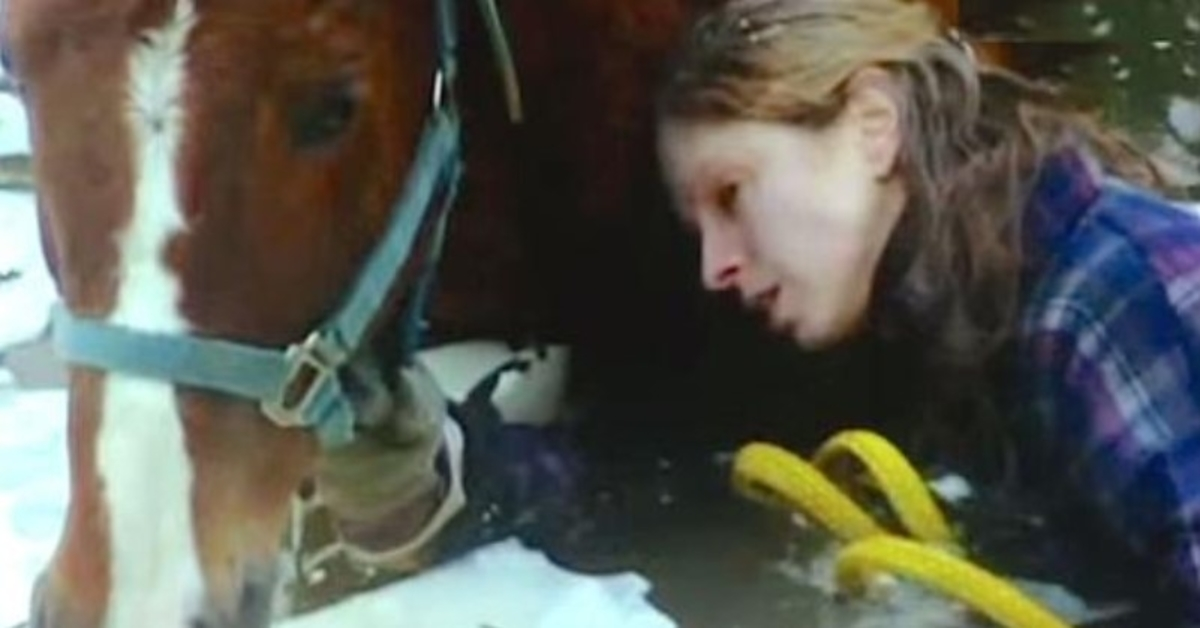 Un chien-loup héroïque sauve son propriétaire et son cheval aveugle de la mort gelée