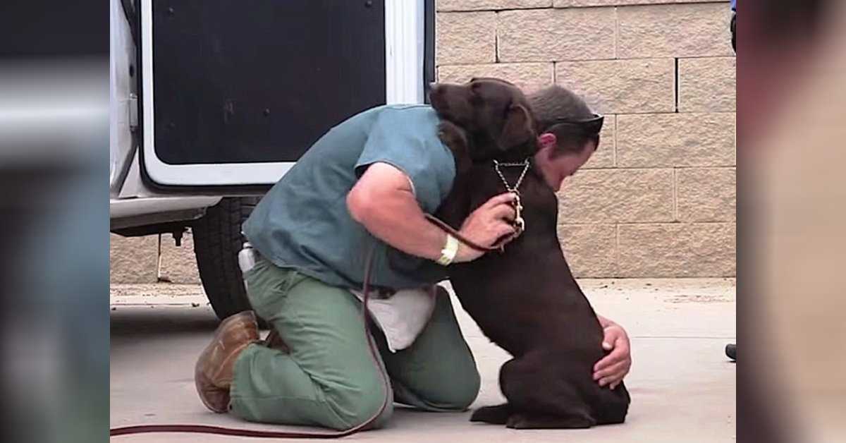 Une chienne a été emmenée pour être euthanasiée, mais une détenue l’a serrée dans ses bras