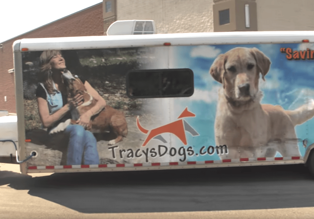 Un couple adopte un chien sans les rencontrer d’abord, puis un camion de sauvetage s’arrête et la porte de la remorque s’ouvre