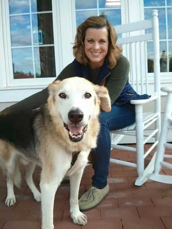 Un chien âgé indésirable qui a mis son visage dans le coin d’un chenil trouve une maison de rêve