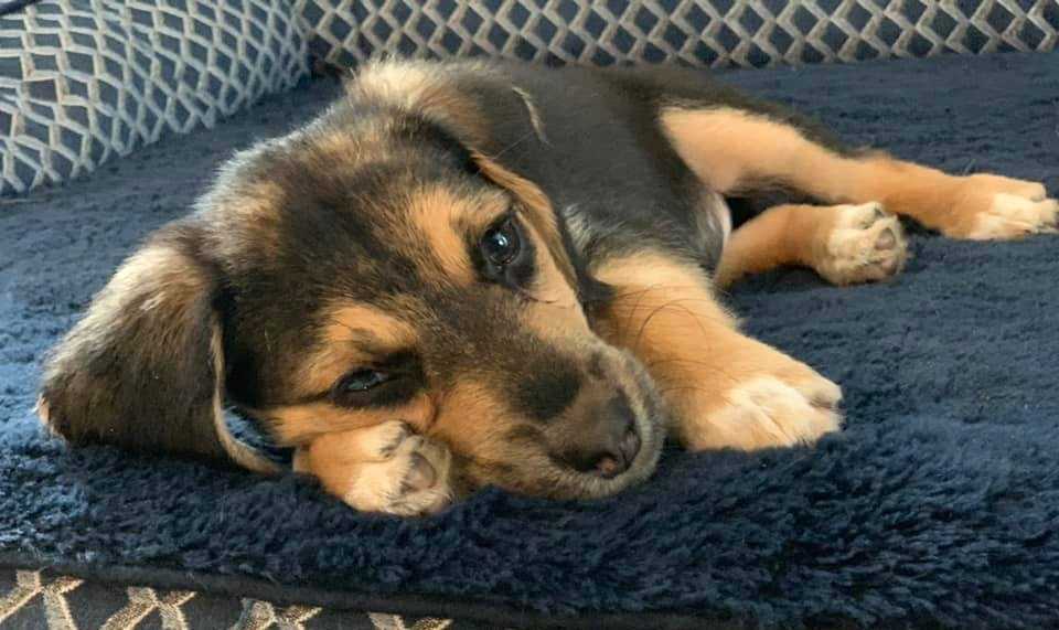 Coup de pied dans la tête et laissé dans l’allée pour saigner, elle a tenu bon à chaque respiration