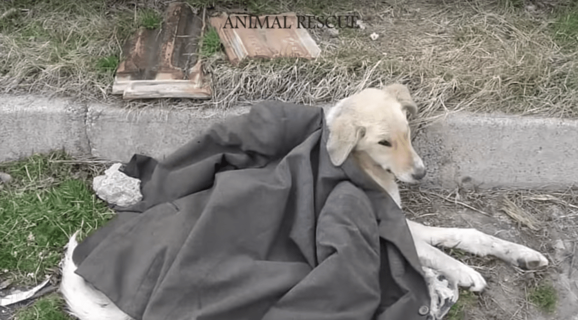 Un égaré paralysé avec un corps tordu se couche dans la rue dans la douleur, ignoré par tout le monde